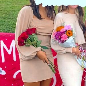 Princess Polly tan hoco dress